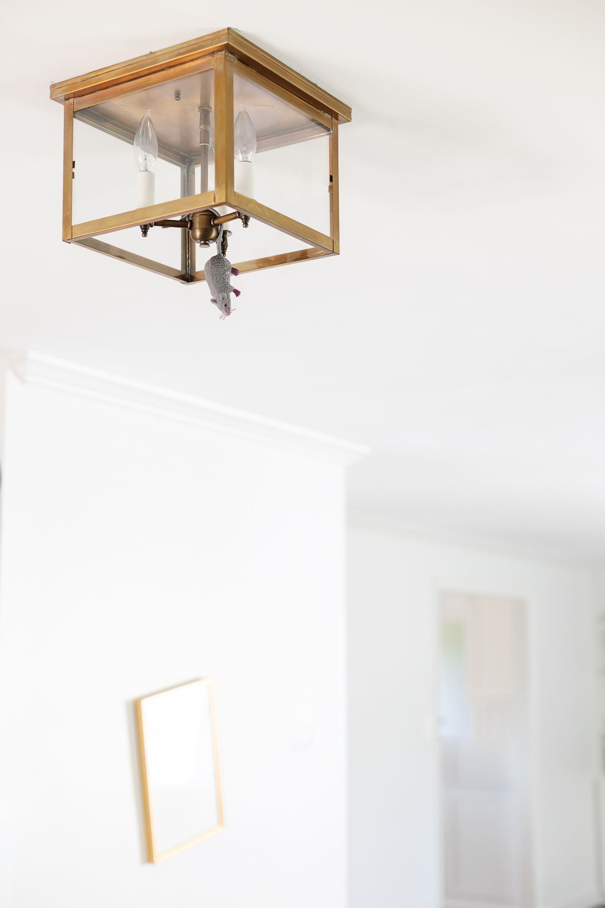 A faux mouse hanging from a brass light fixture in a white home