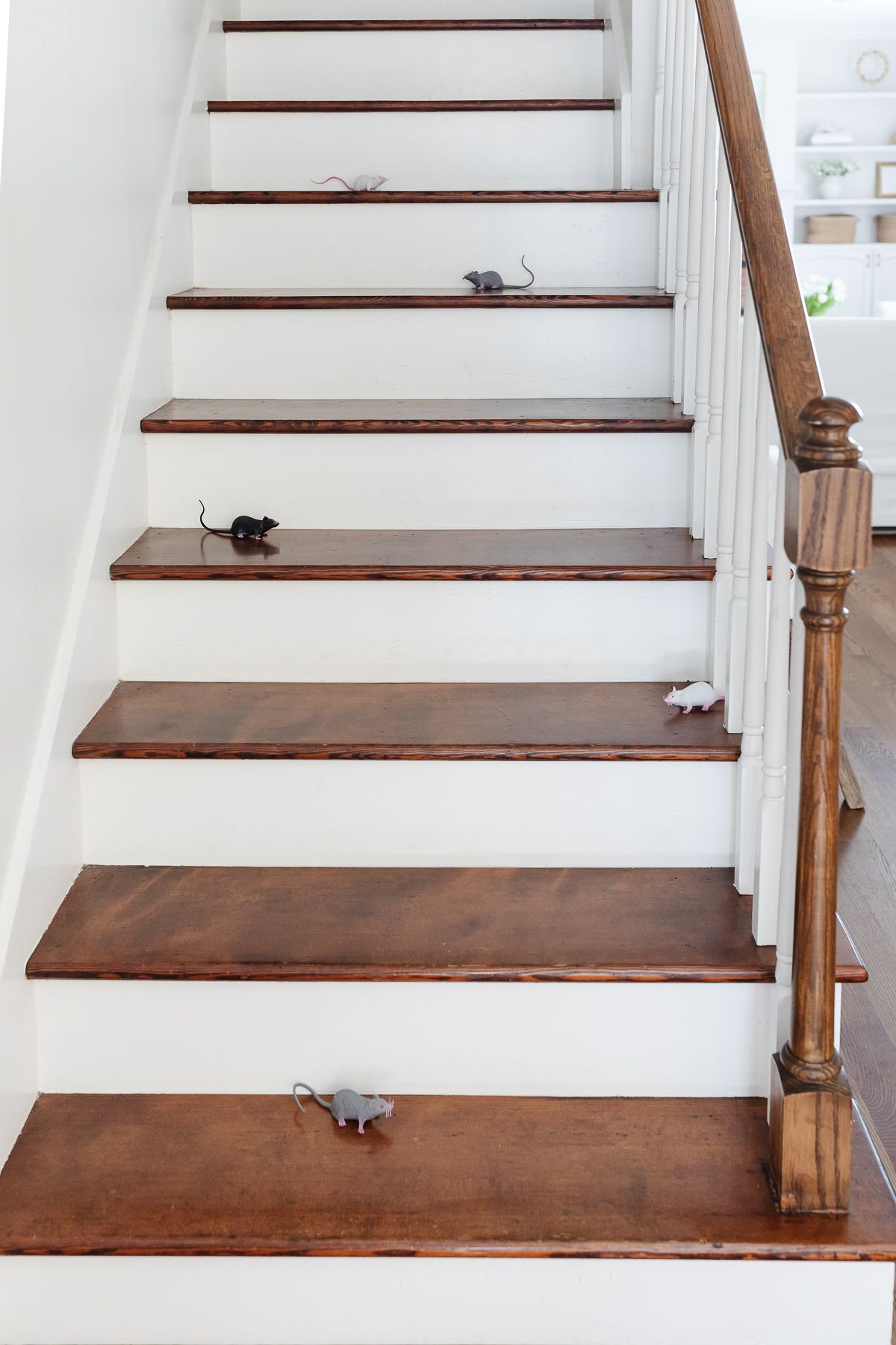 Fake plastic mice on wooden steps for a fun Halloween decorating idea