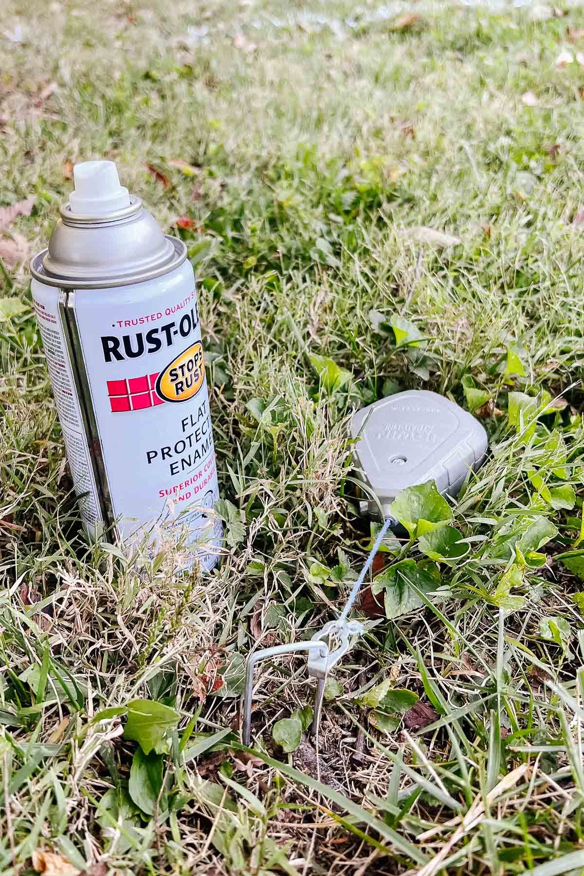 A can of spray paint on a grassy lawn