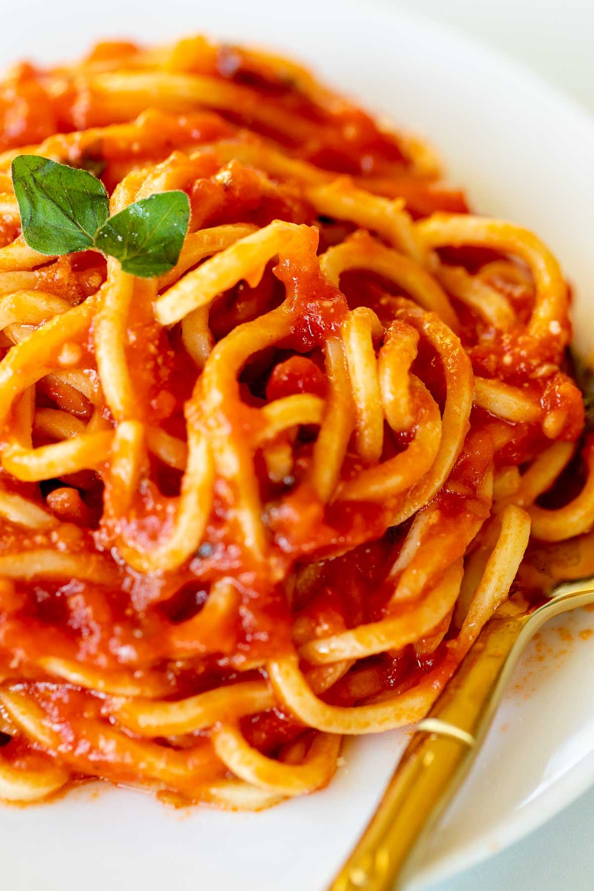 Spaghetti on a white plate, tossed in San Marzano tomato sauce, with a gold fork to the side.
