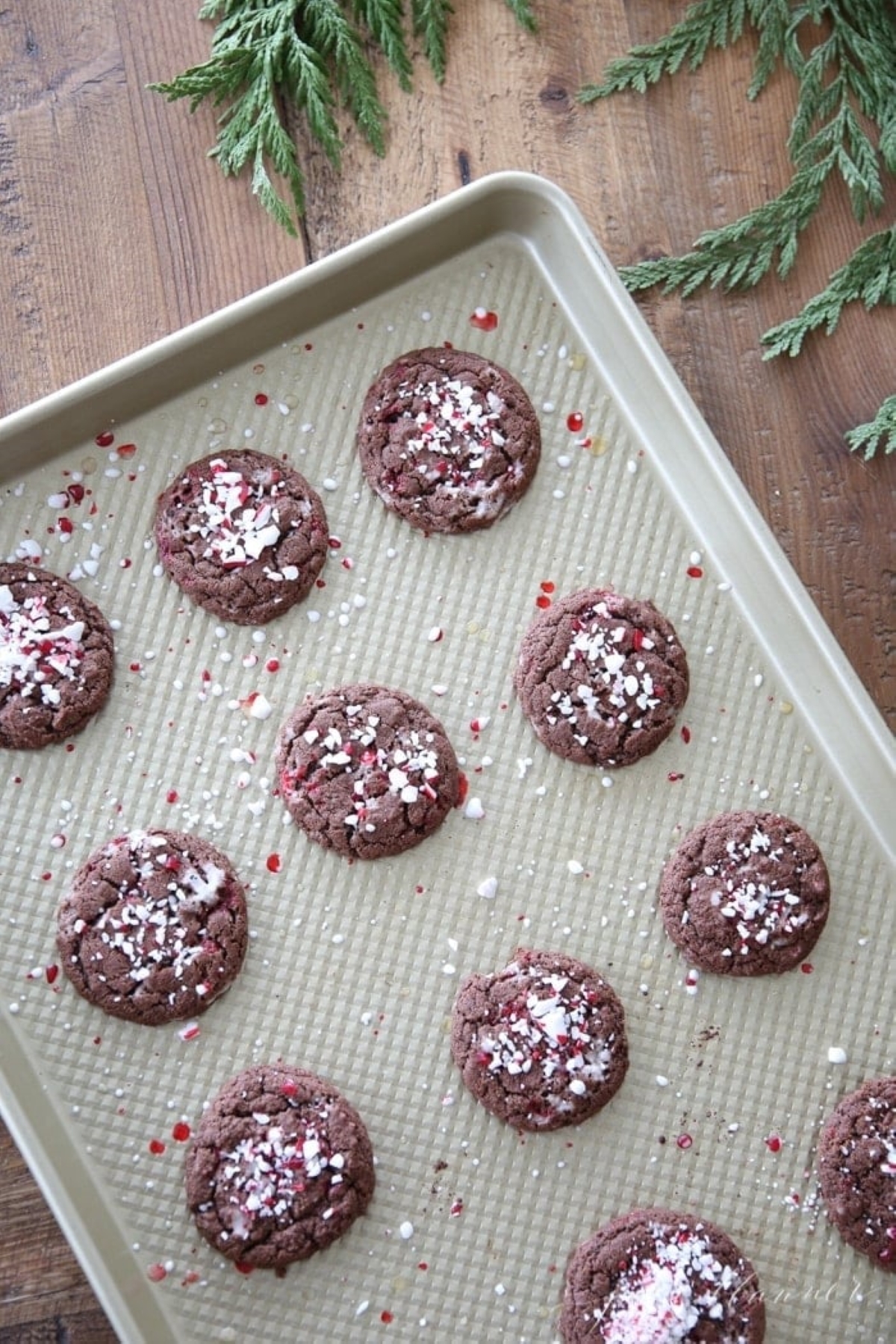 chocolate and peppermint Christmas cookies on a baking sheet