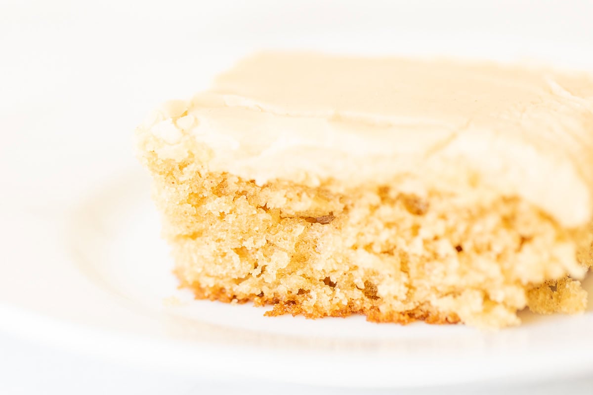 A slice of frosted peanut butter cake on a white plate against a bright white background.