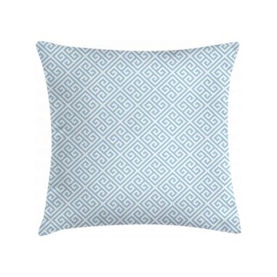 blue and white amazon pillow cover