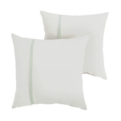 A green and white Amazon pillow cover.
