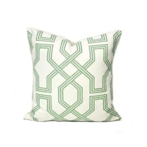 green and white amazon pillow cover