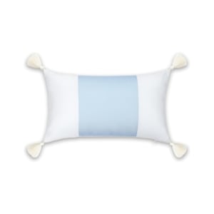 A blue and white pillow with tassels available for purchase on Amazon.