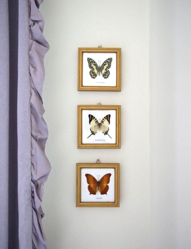Three small butterflies framed in frames that are aged gold with rub n buff, next to a lavender curtain panel.