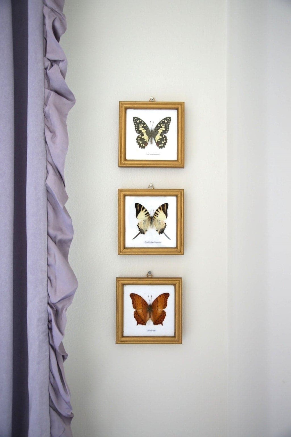 Three small butterflies framed in frames that are aged gold with rub n buff, next to a lavender curtain panel.