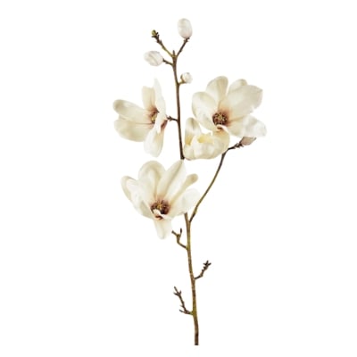 White faux magnolia flowers on a stem against a white background.