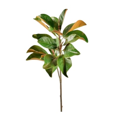 Faux plant with green leaves on a stick against a white background.