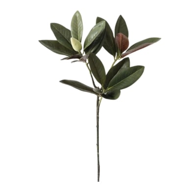 Faux magnolia leaves on a stem with a white background.