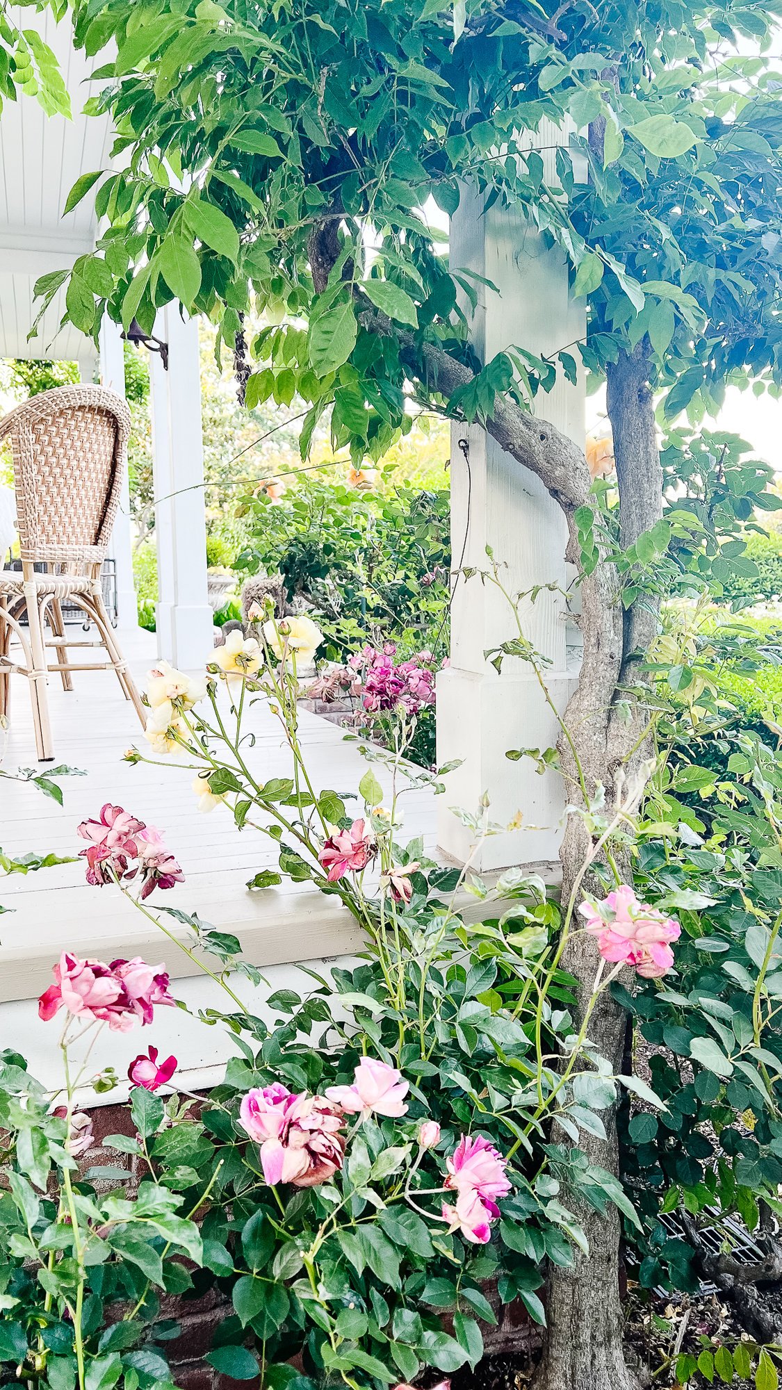 A deck, painted in a white color, surrounded by blooming landscaping. 