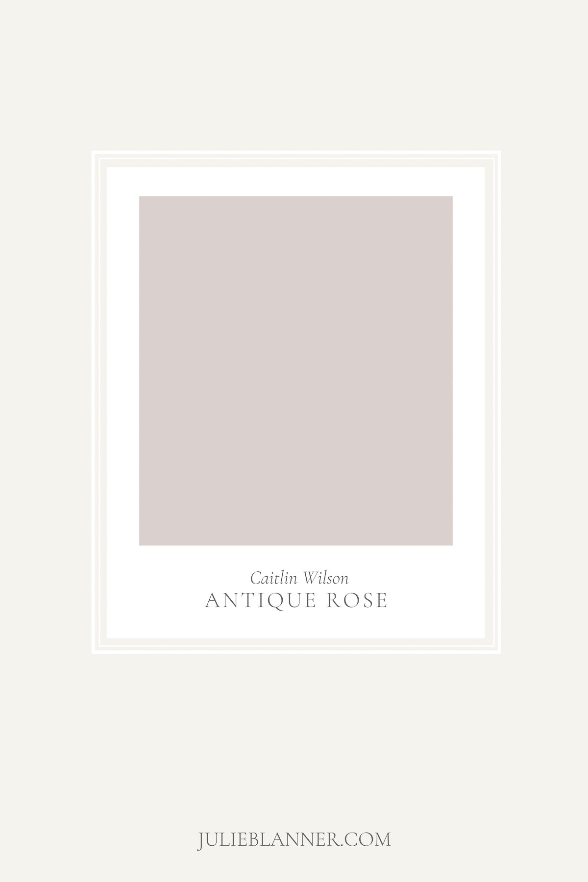 Rose Paint Color Palette