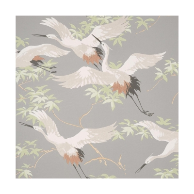 amazon wallpaper with birds