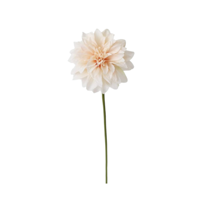 A single pale pink dahlia flower with a long green stem stands elegantly against a white background, accompanied by delicate fall branches.