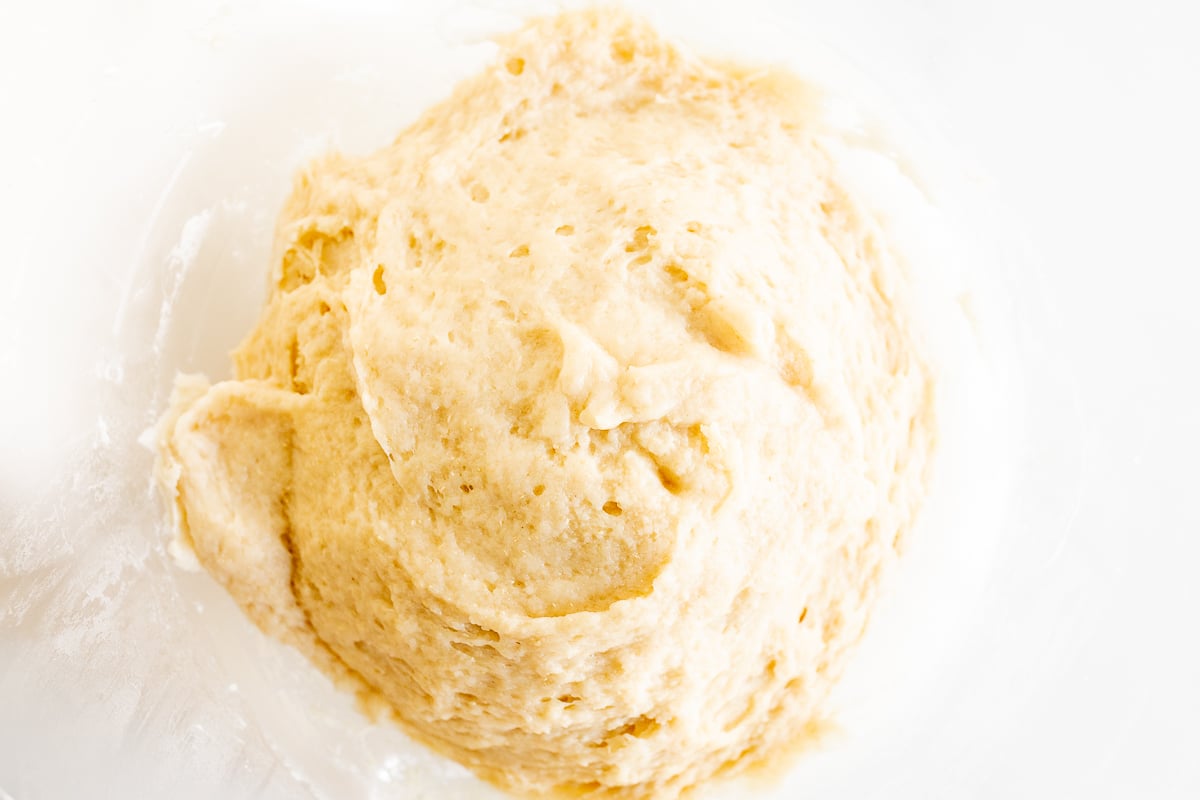 A bowl of apple cinnamon dough in a white bowl.