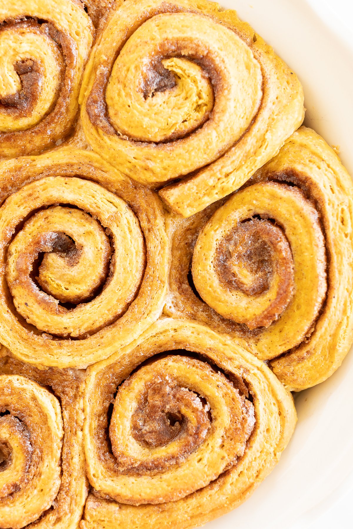 Pumpkin cinnamon rolls in a white dish are a delightful treat that combines the warm flavors of pumpkin and the aromatic spice of cinnamon.