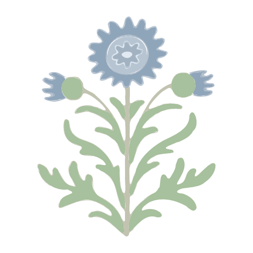 A blue flower on a black background.