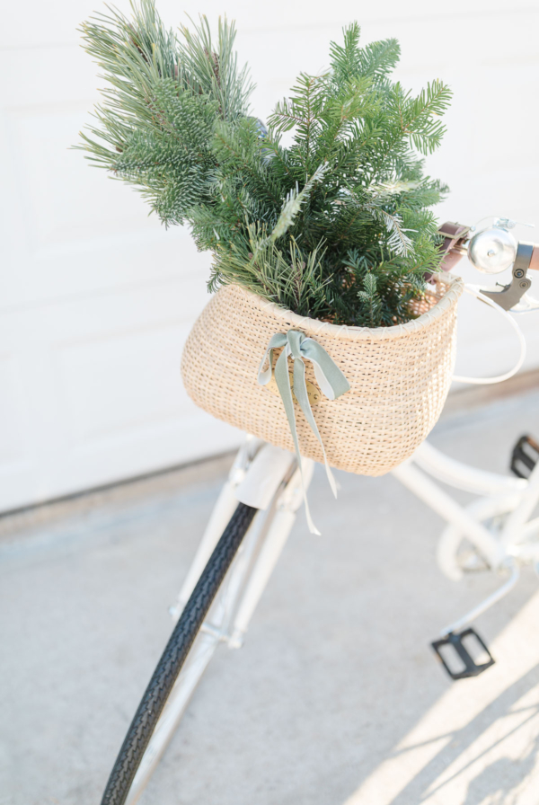 In celebration of Cyber Monday, a festive wicker basket on a bicycle showcases a charmingly decorated Christmas tree.
