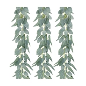 Three eucalyptus leaves hanging on a white background.