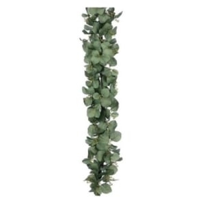 Eucalyptus garland on a white background.