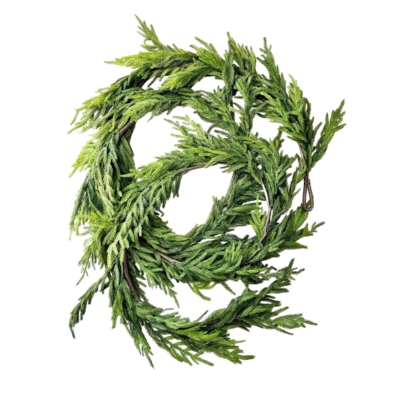 A norfolk pine wreath on a white background.