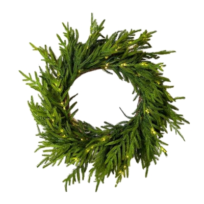 A norfolk pine garland with lights on a white background.