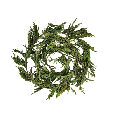 A wreath of norfolk pine garland on a white background.