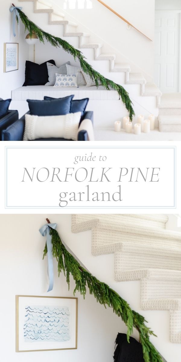 Guide to Norfolk Pine Garland