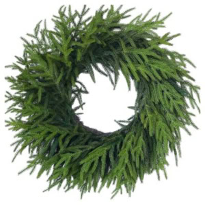 A circular wreath made of green pine branches with dense, feathery foliage, arranged in a symmetrical pattern, reminiscent of a lush Norfolk pine garland.