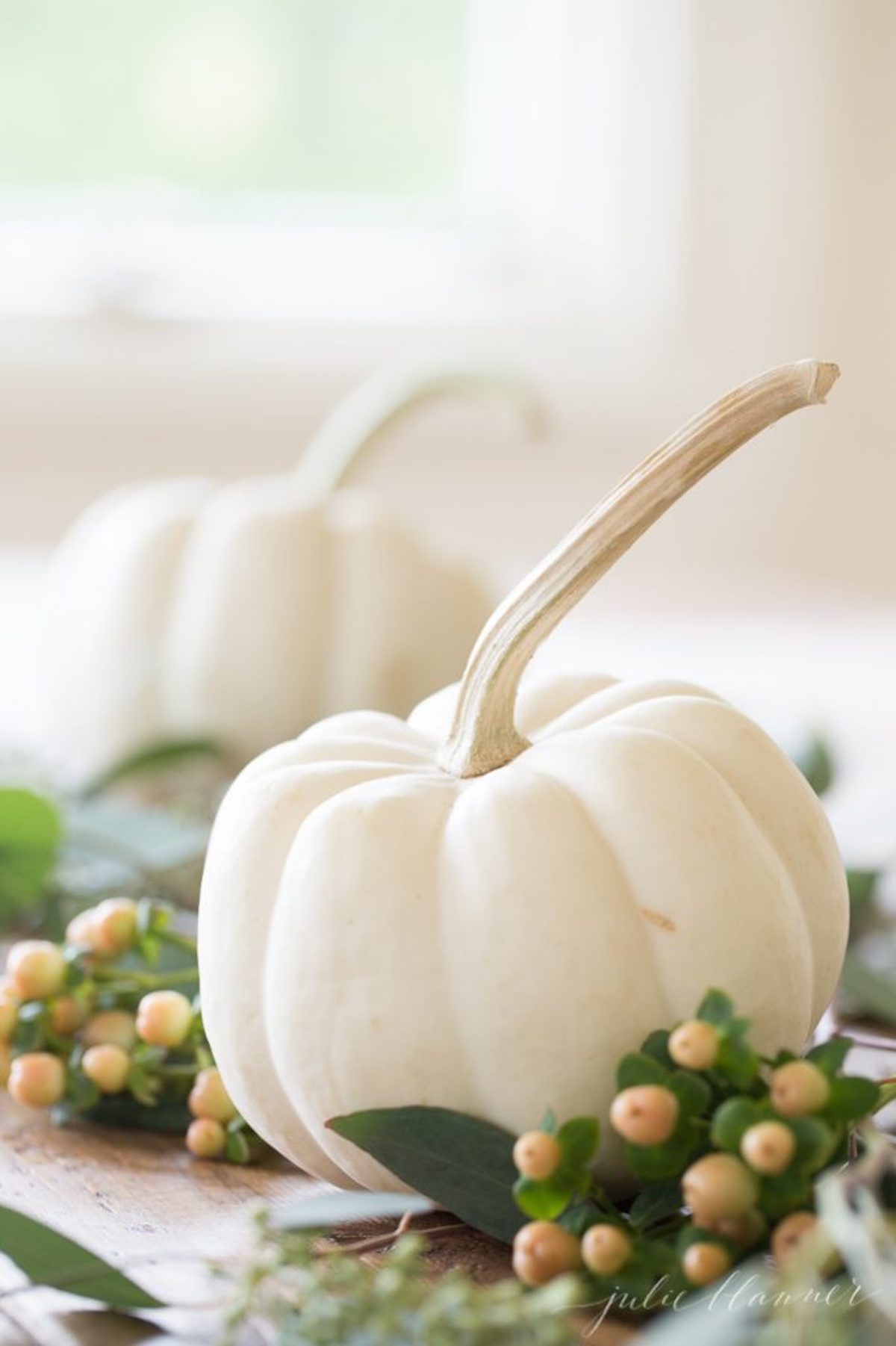 Two white pumpkins on a Thanksgiving table with greenery.