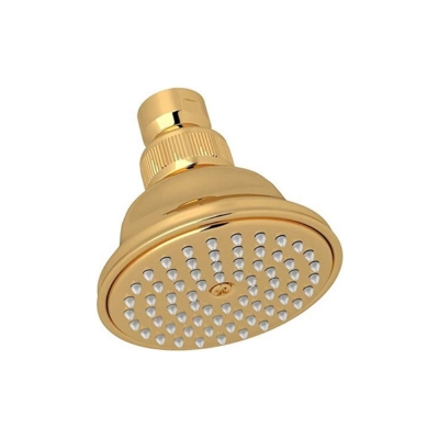 A gold shower head on a white background.