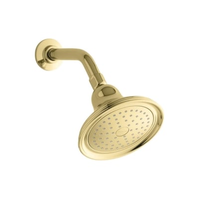 A brass shower head on a white background.