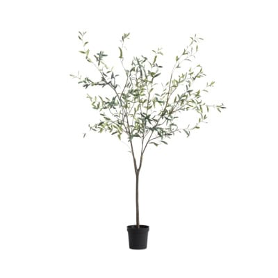 A potted tree with thin branches and green leaves stands against a white background, offering a stylish look reminiscent of Pottery Barn for less.
