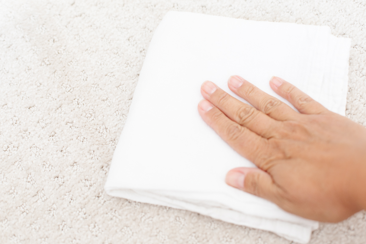 A person's hand is holding a white cloth on top of a carpet while using folex.