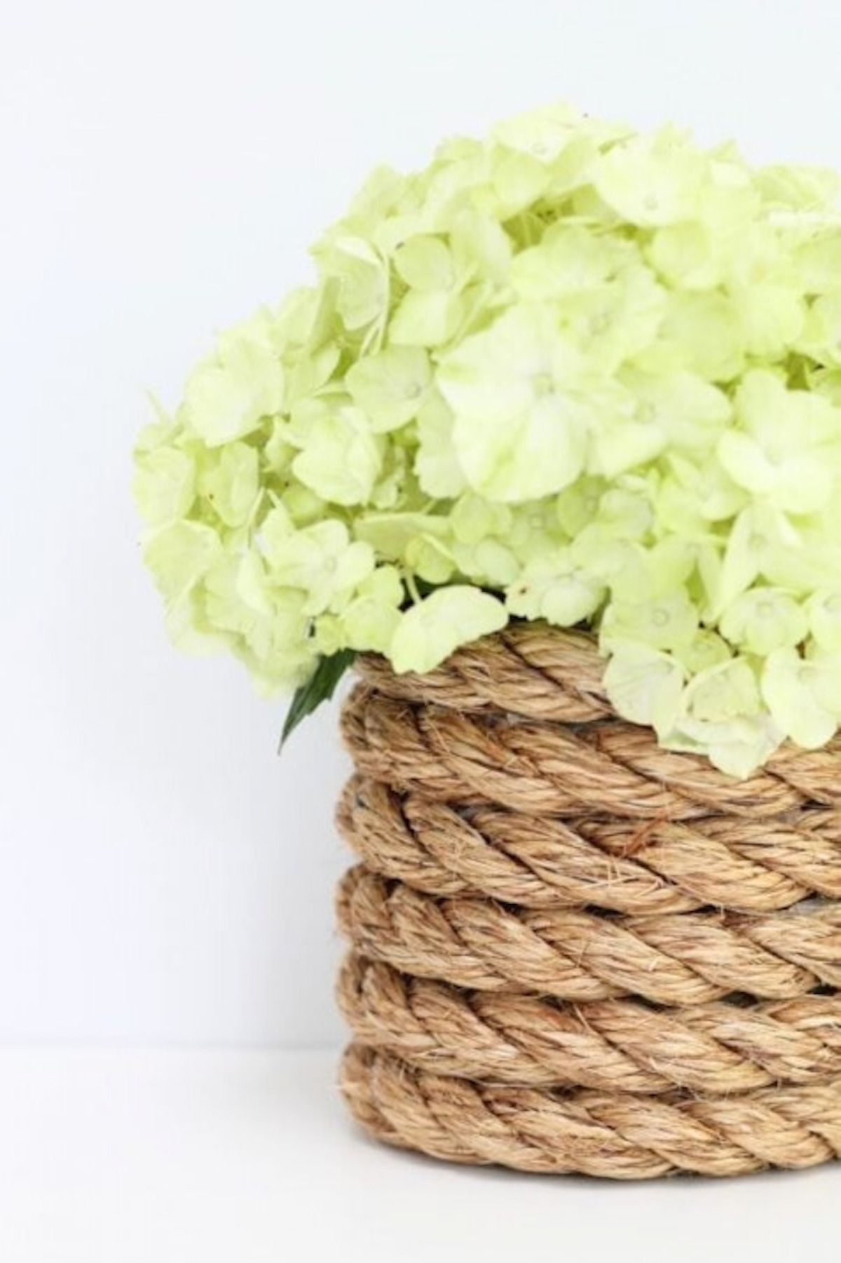 rope vase filled with hydrangea