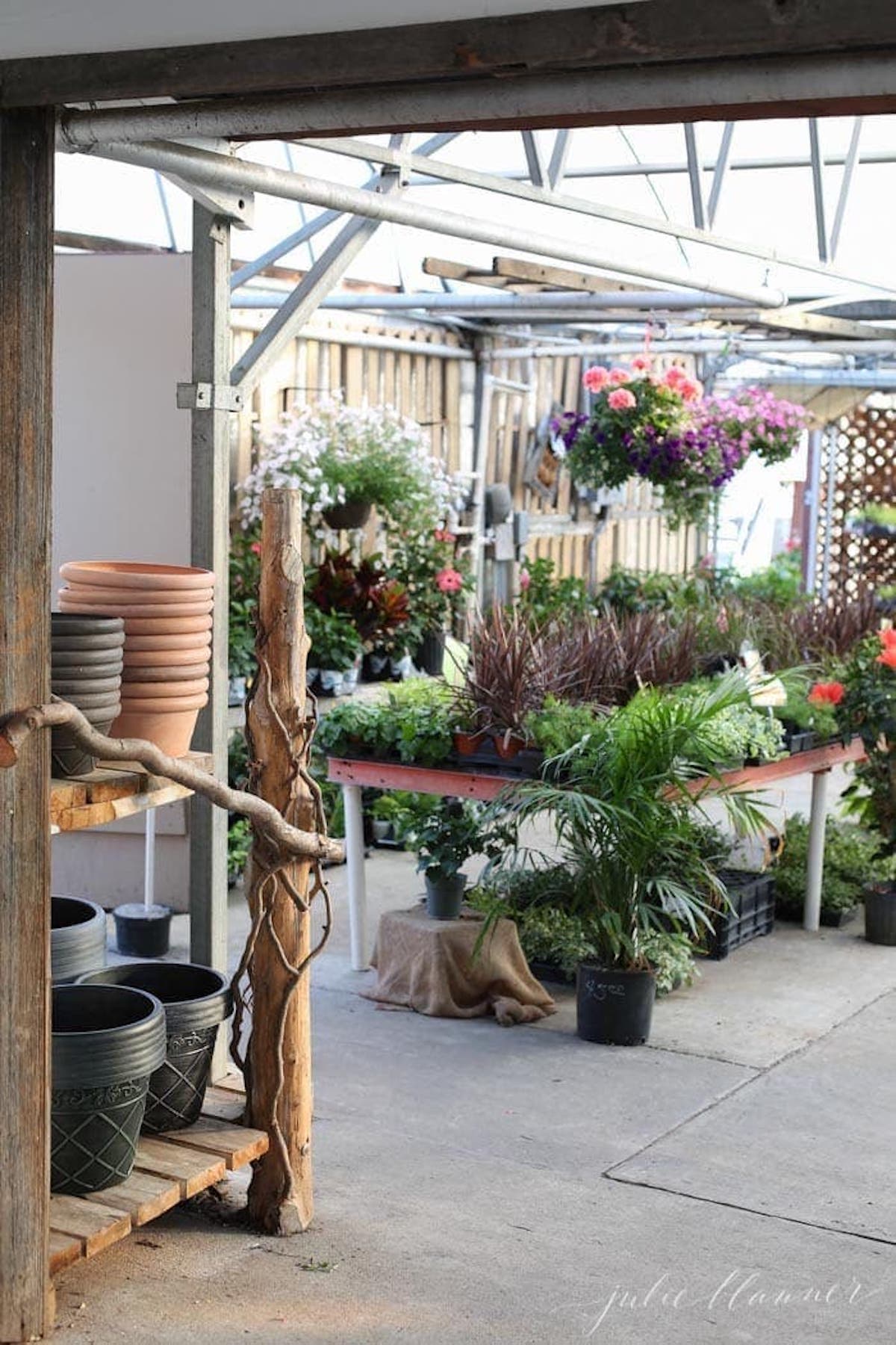 A greenhouse filled with potted plants and flower pot design ideas.