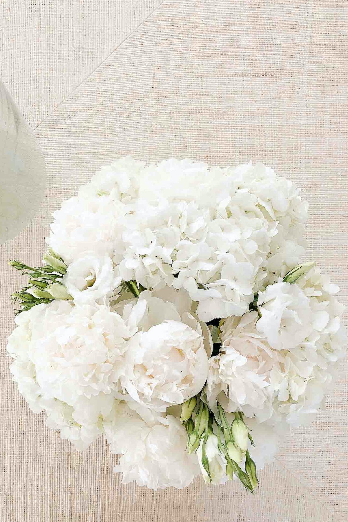 White hydrangea flowers in a vase on a table.