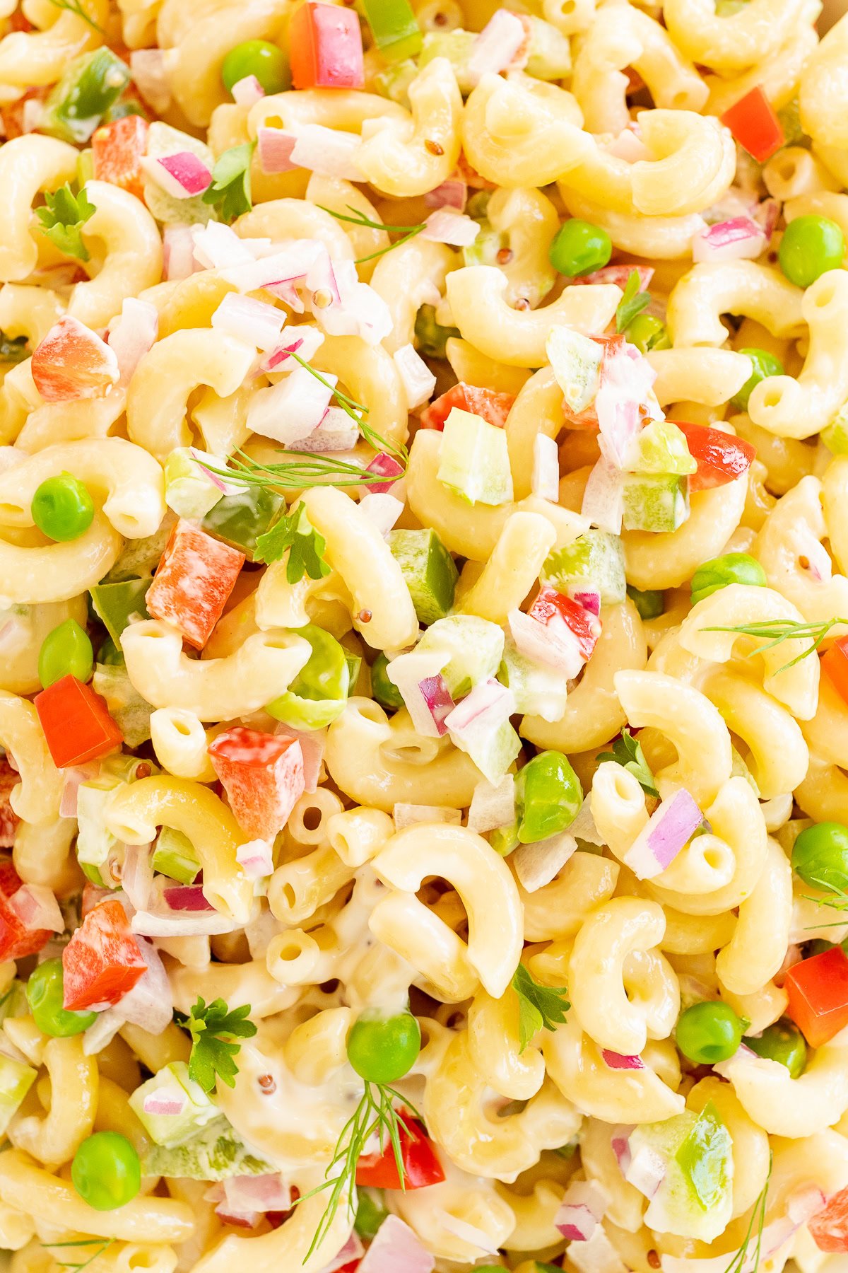 A close up of a macaroni pasta salad.