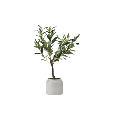 A small plant in a white pot brings a fresh touch to any space, offering that Pottery Barn look for less.