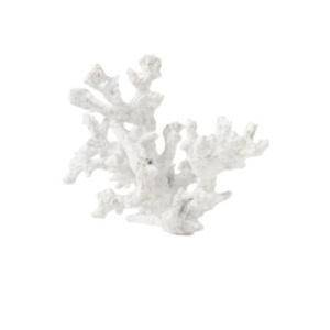 A piece of white coral with multiple branching arms is isolated on a plain white background, offering a pottery barn look for less.