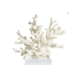 A white coral sculpture with multiple branches displayed on a clear rectangular base against a plain white background, perfect for achieving the Pottery Barn look for less.