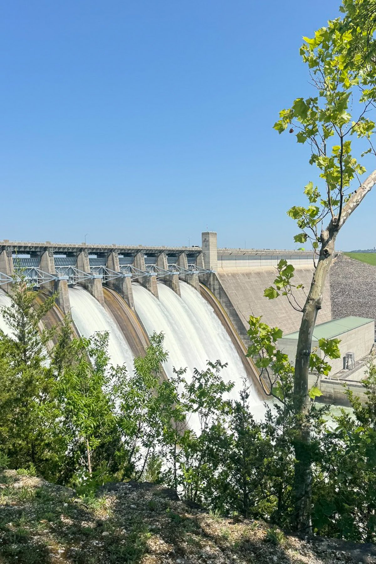 A dam with water flowing over its spillways, surrounded by greenery and trees under a clear blue sky—one of the scenic things to do in Branson for nature lovers and photographers alike.