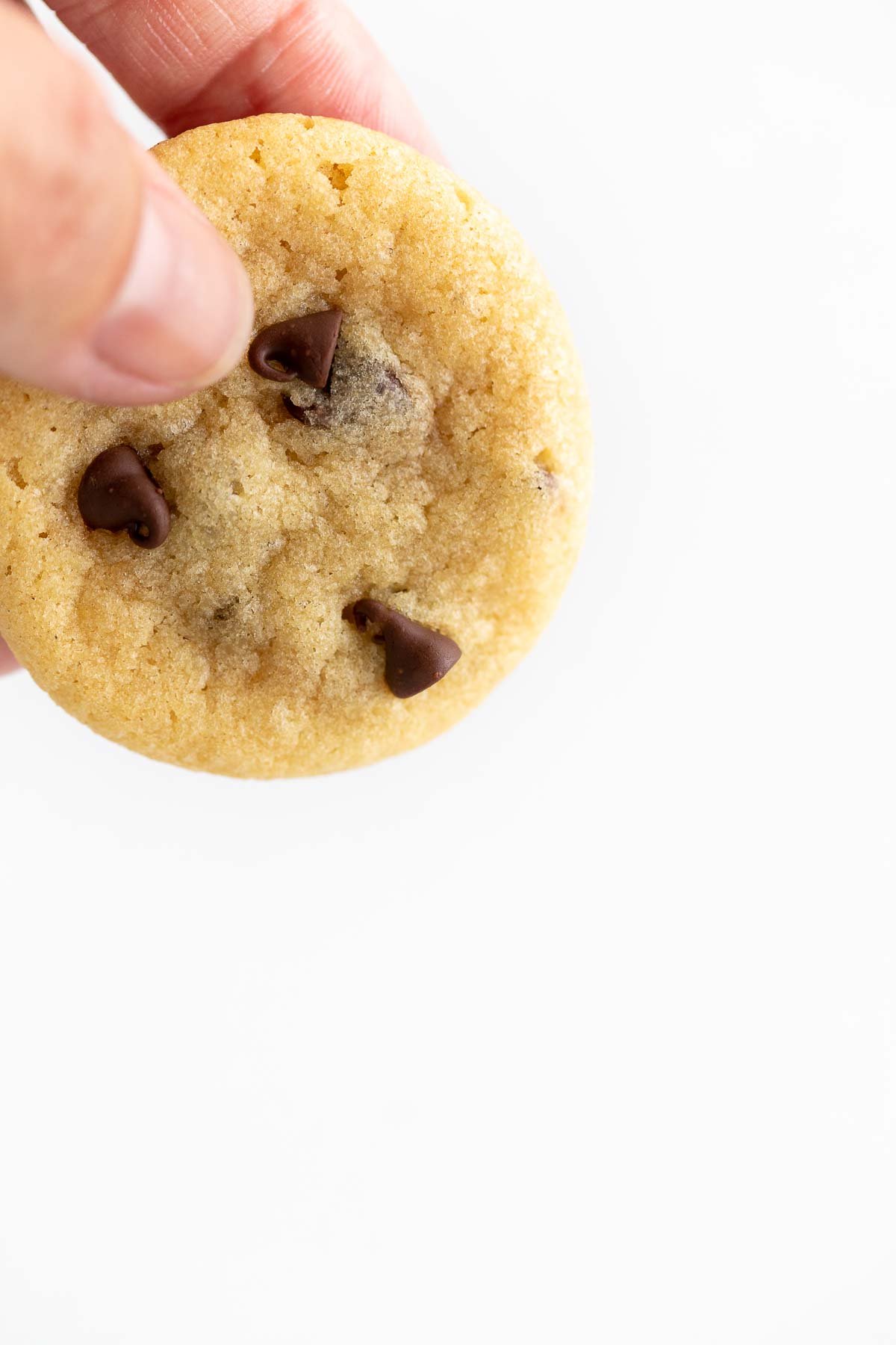 A hand holding a round chocolate chip cookie against a white background.