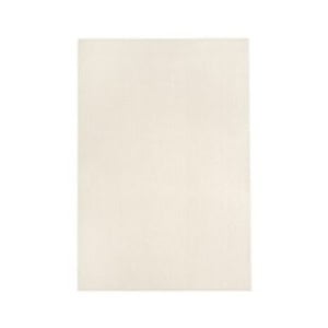 Rectangular cream-colored rug.